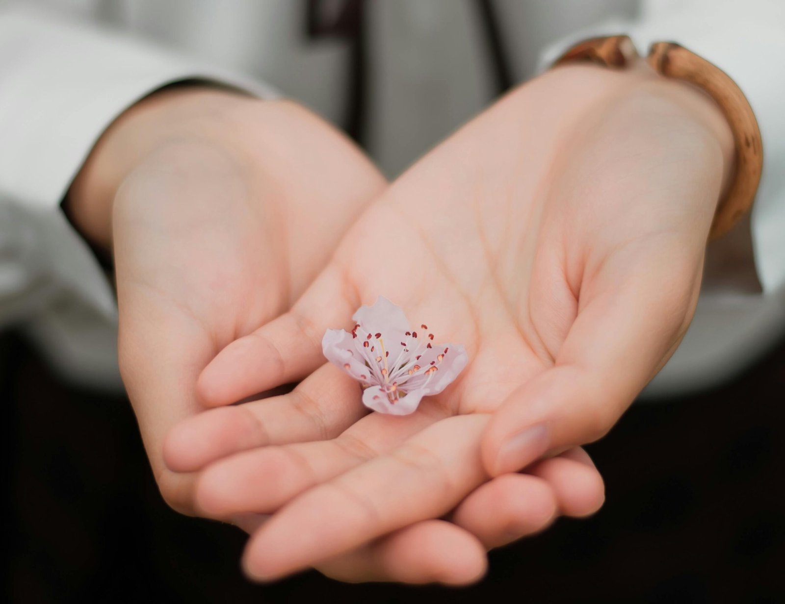 pexels-photo-460295-460295 Close-up of hands gently holding a delicate pink flower symbolizing care and nature.